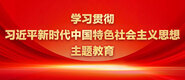 www.日骚学习贯彻习近平新时代中国特色社会主义思想主题教育_fororder_ad-371X160(2)